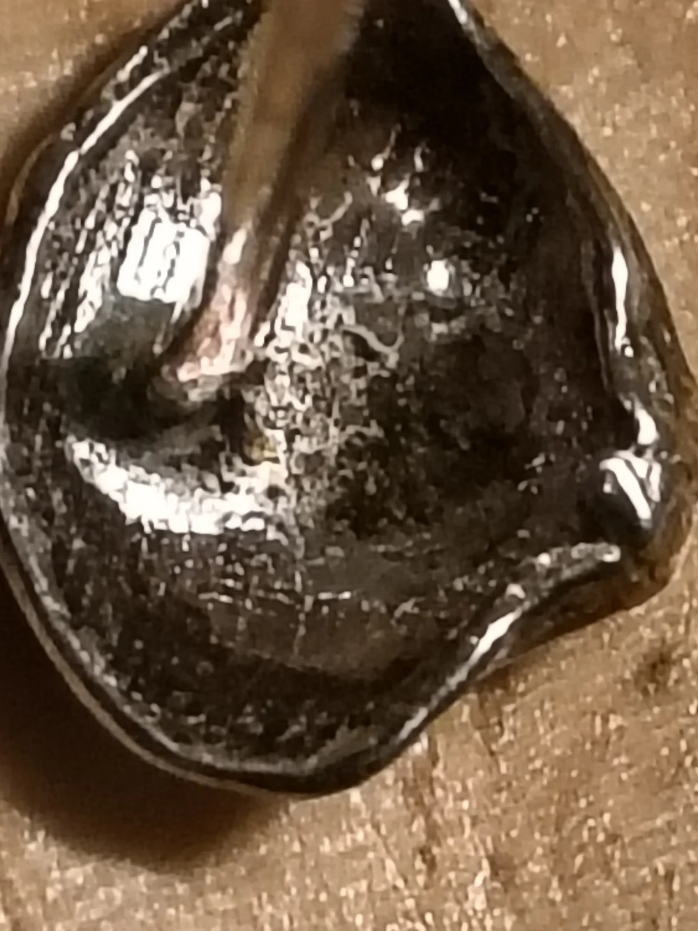 Sterling Silver Handmade Clam Shell Stud Earrings* Very Detailed Unsigned
